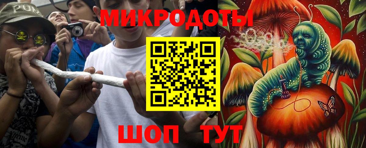 Галлюциногенные грибы Psilocybe Пушкино